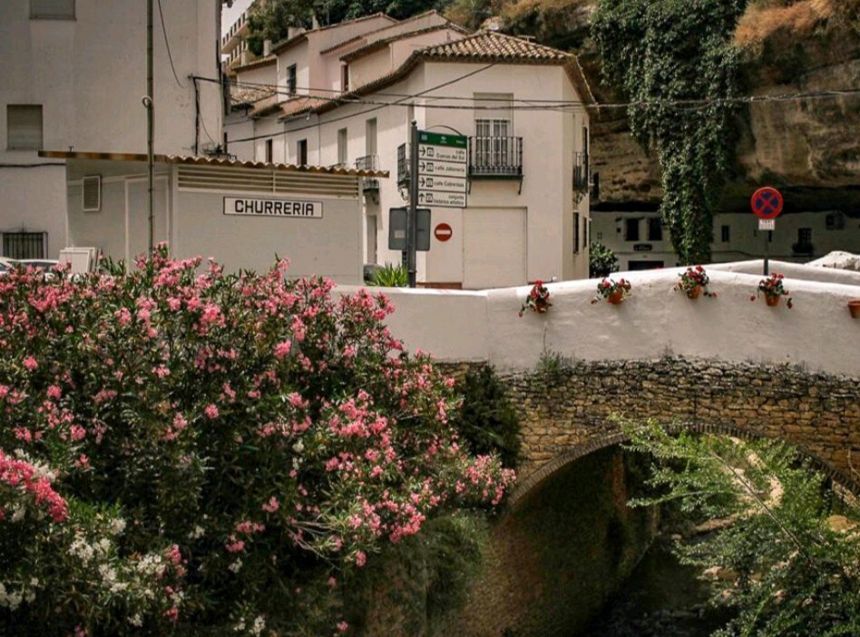 Casa del Rio位于Setenil。