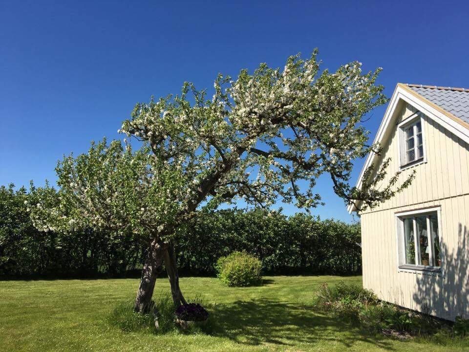 舒适的小屋，位置安静，距离海滩仅几步之遥