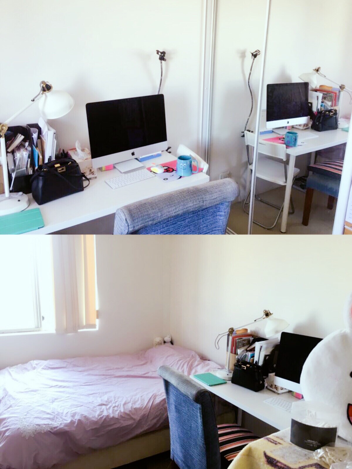 Kingsford公寓 步行5分钟到unsw 爱彼迎民宿