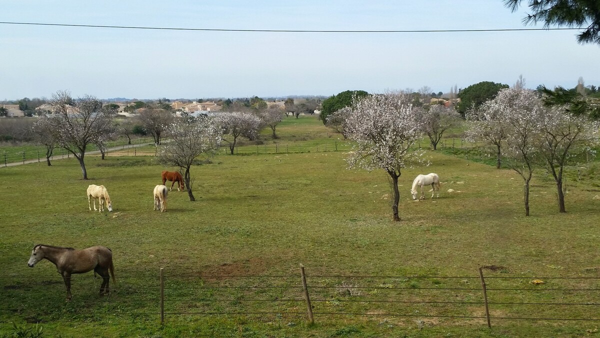 Le Gîte de la Prunette * * * *. （带空调，游泳池）