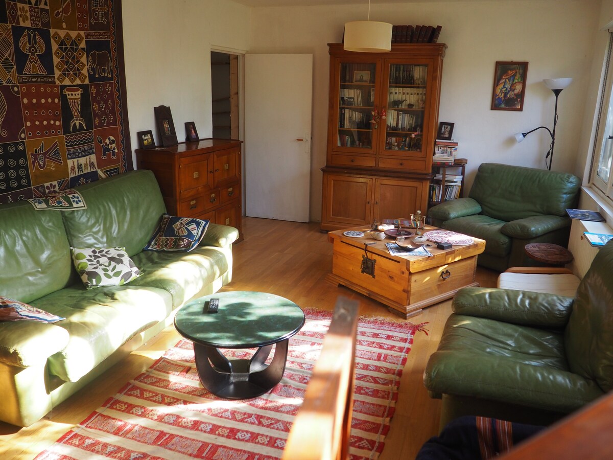 Rooms in house surrounded by trees