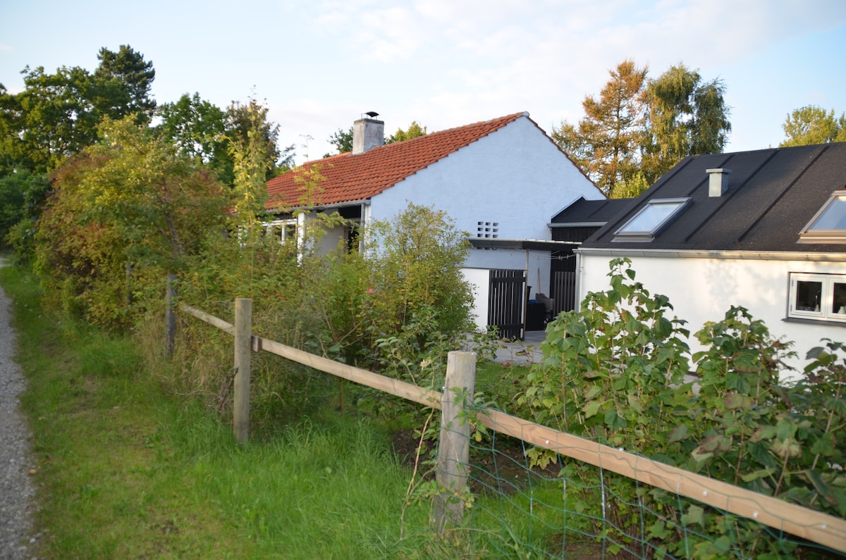 Sommerferie i arkitektens hus