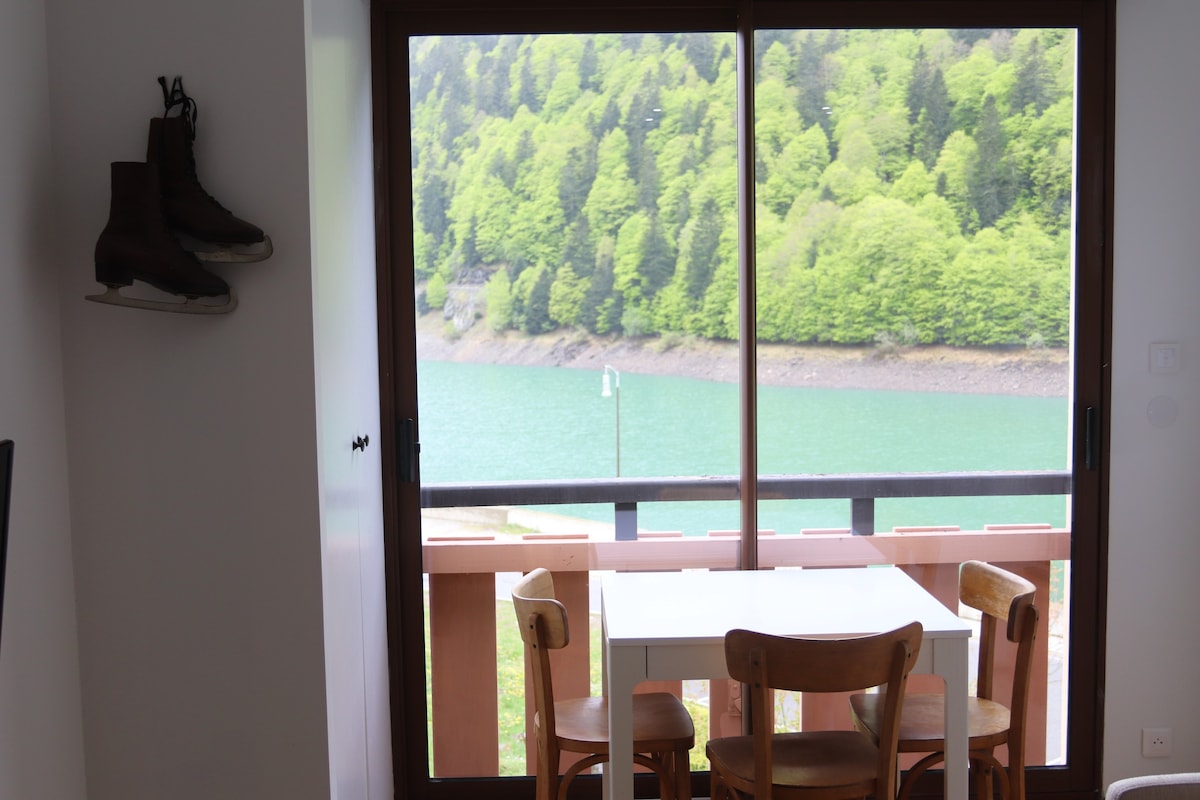 Artouste单间公寓，欣赏Lac de Fabrèges美景