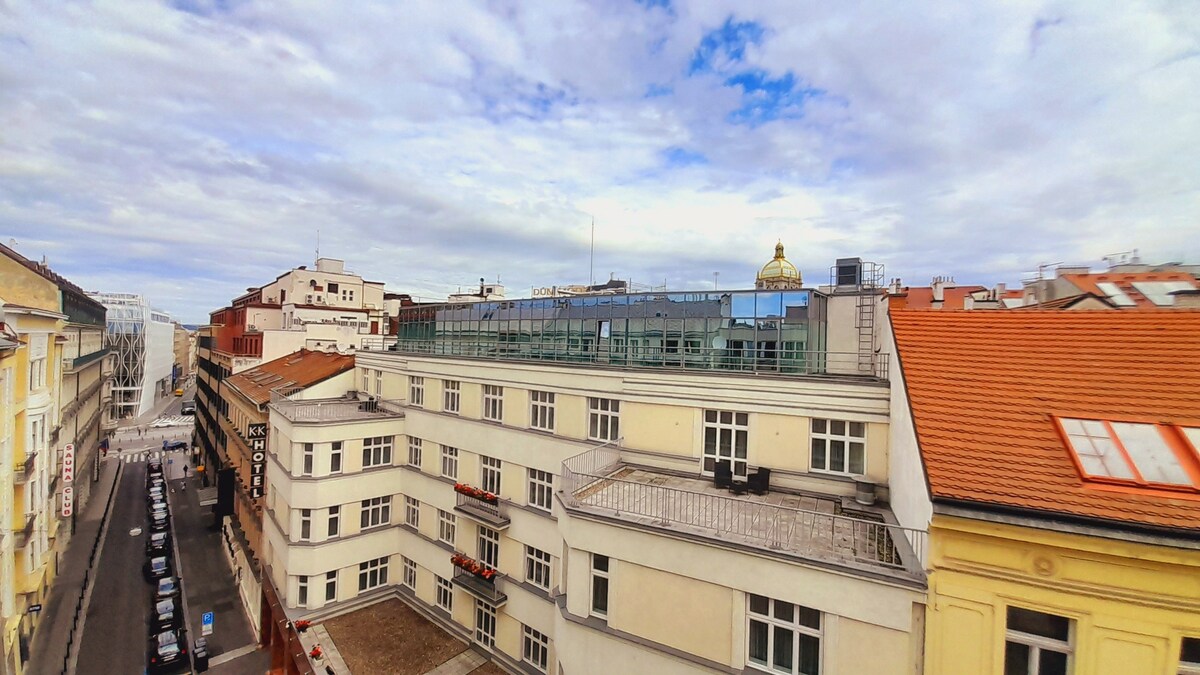 布拉格市中心可爱的公寓