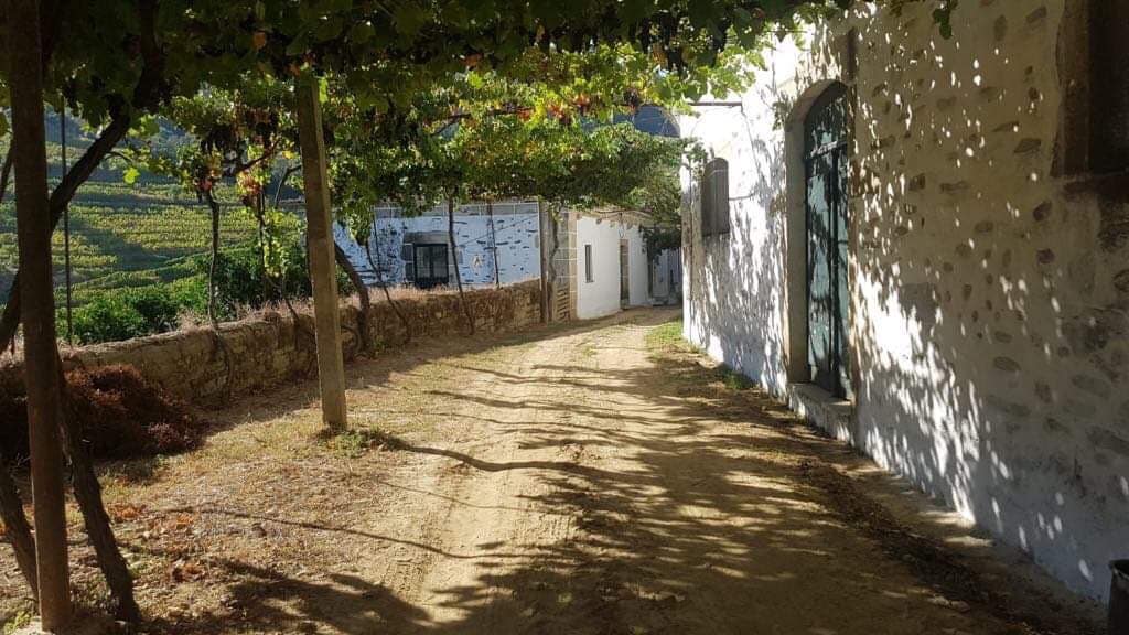 HOUSE in Organic Winery - Qta do Vilar Douro Valley