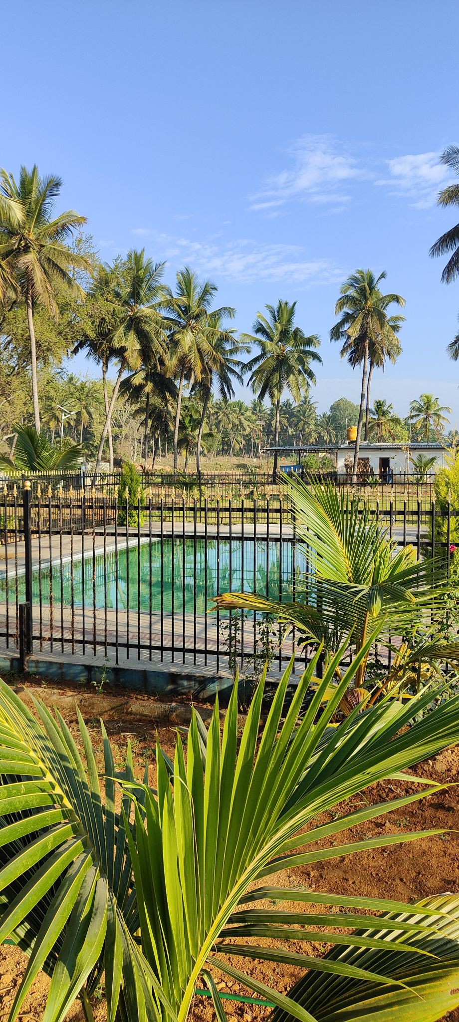 Celebrate Holi in a Private Pool Property!