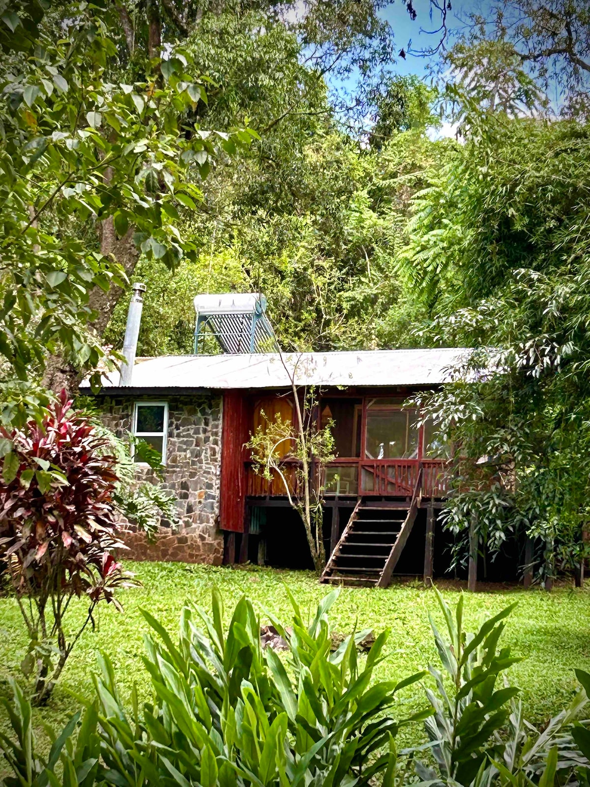 Rent House Forest, Saltos de Moconá.