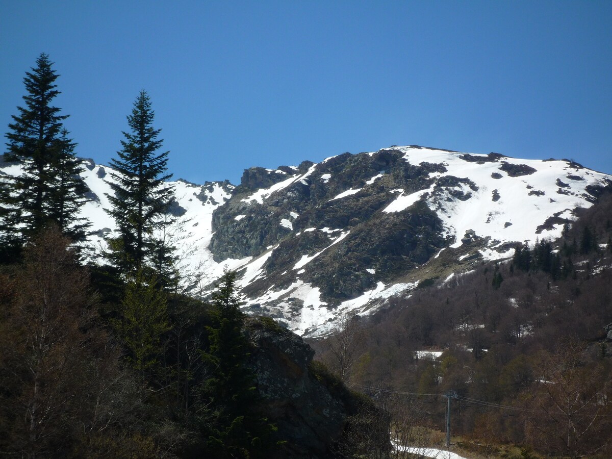 Lac de Montbel附近的艺术家之家。