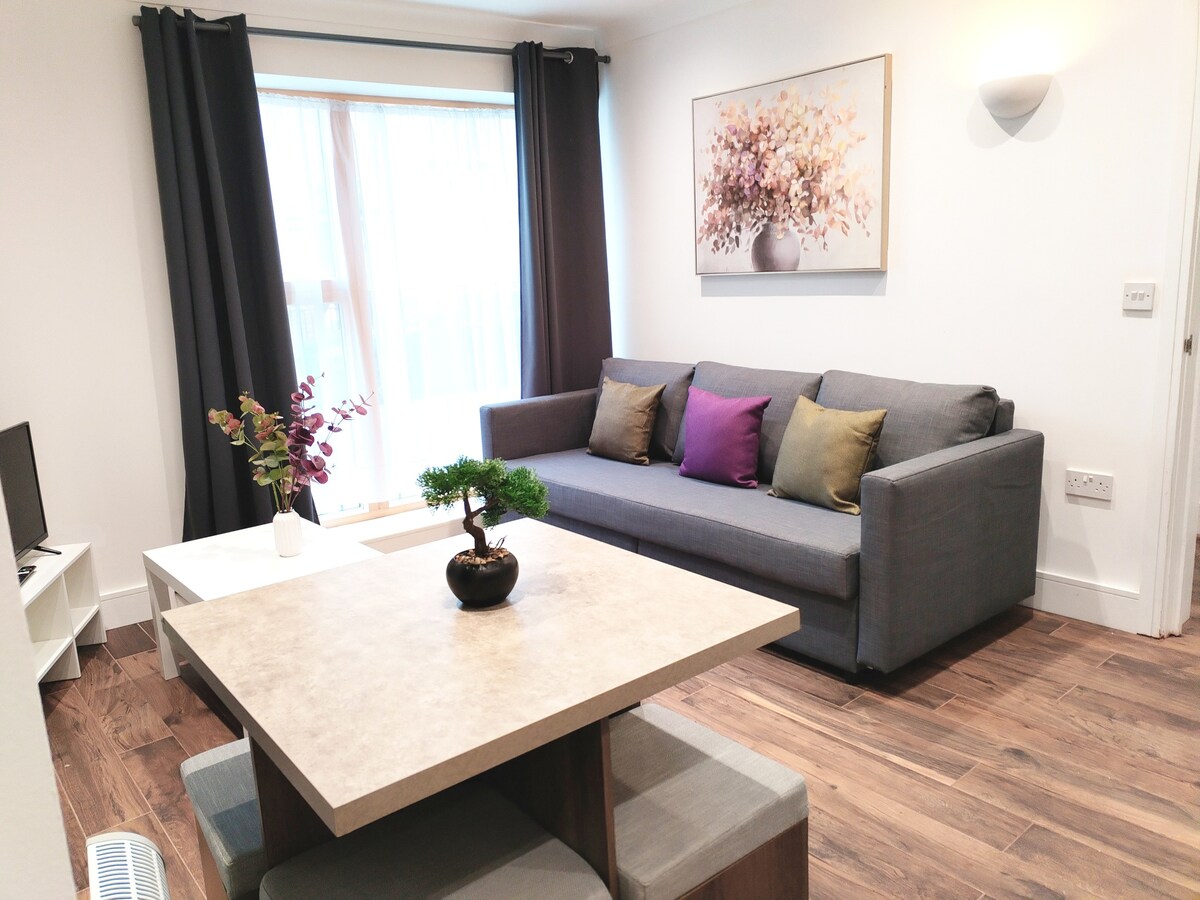 Luxury apartment near central London- metro, E1