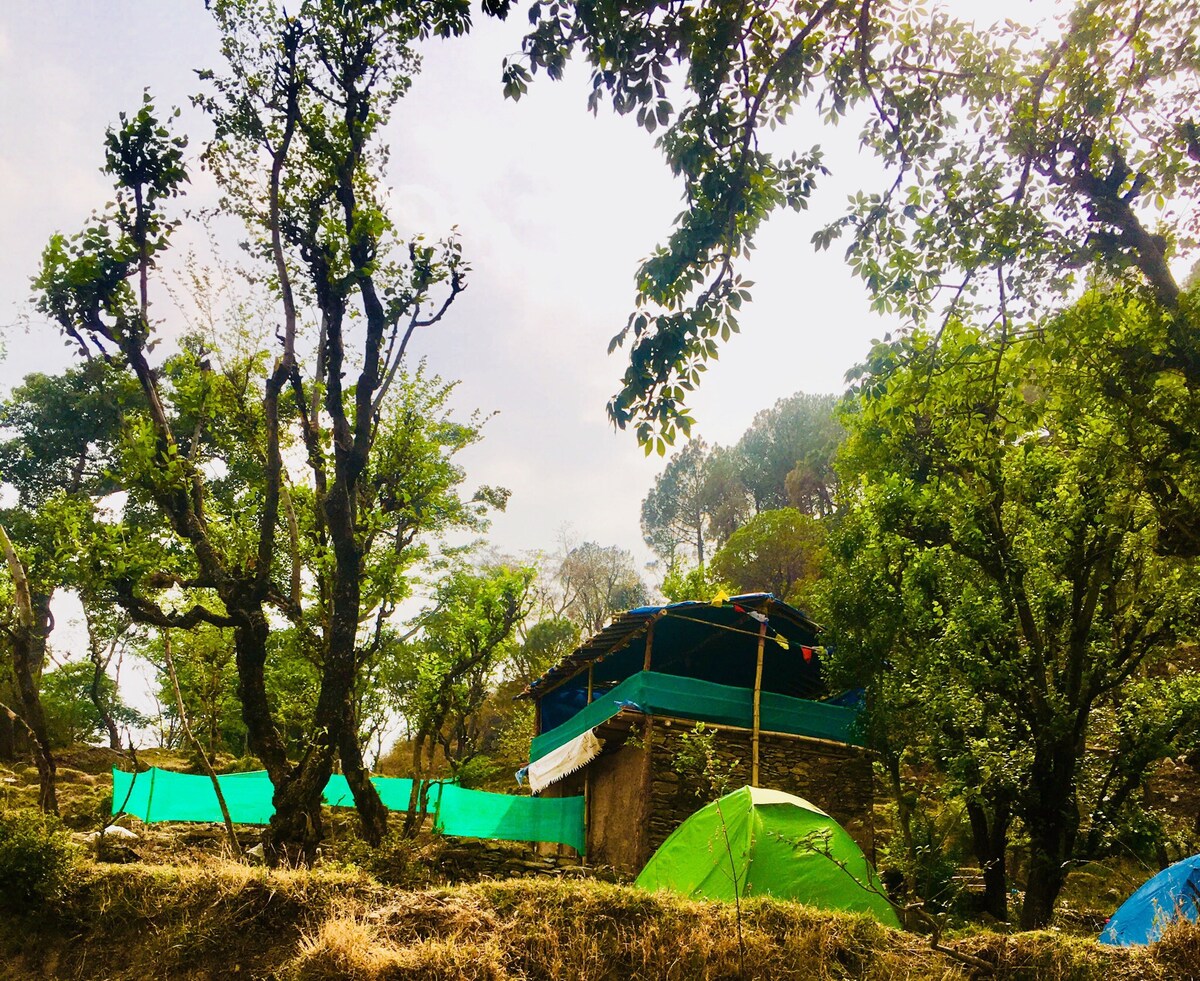 Himalayan Pinaki Camp