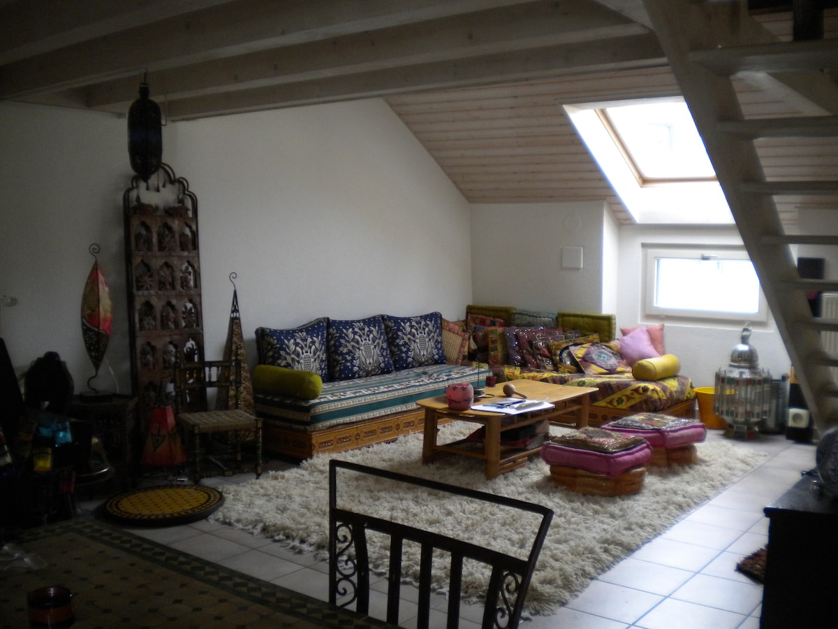 位于日内瓦市中心的绝佳公寓中的漂亮房间！ ！