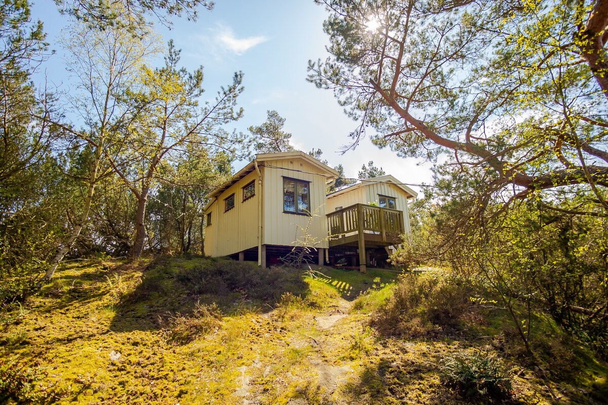 瑞典西海海岸大海的小屋