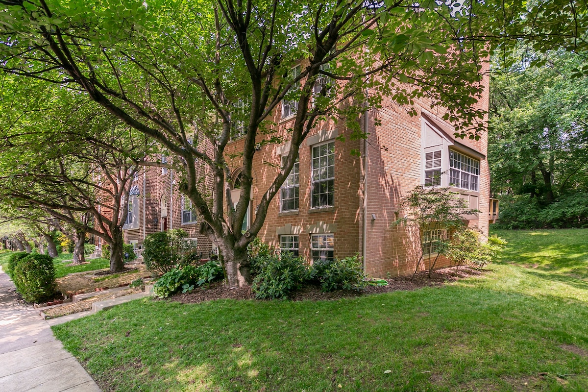 Spacious, Private Basement Apartment