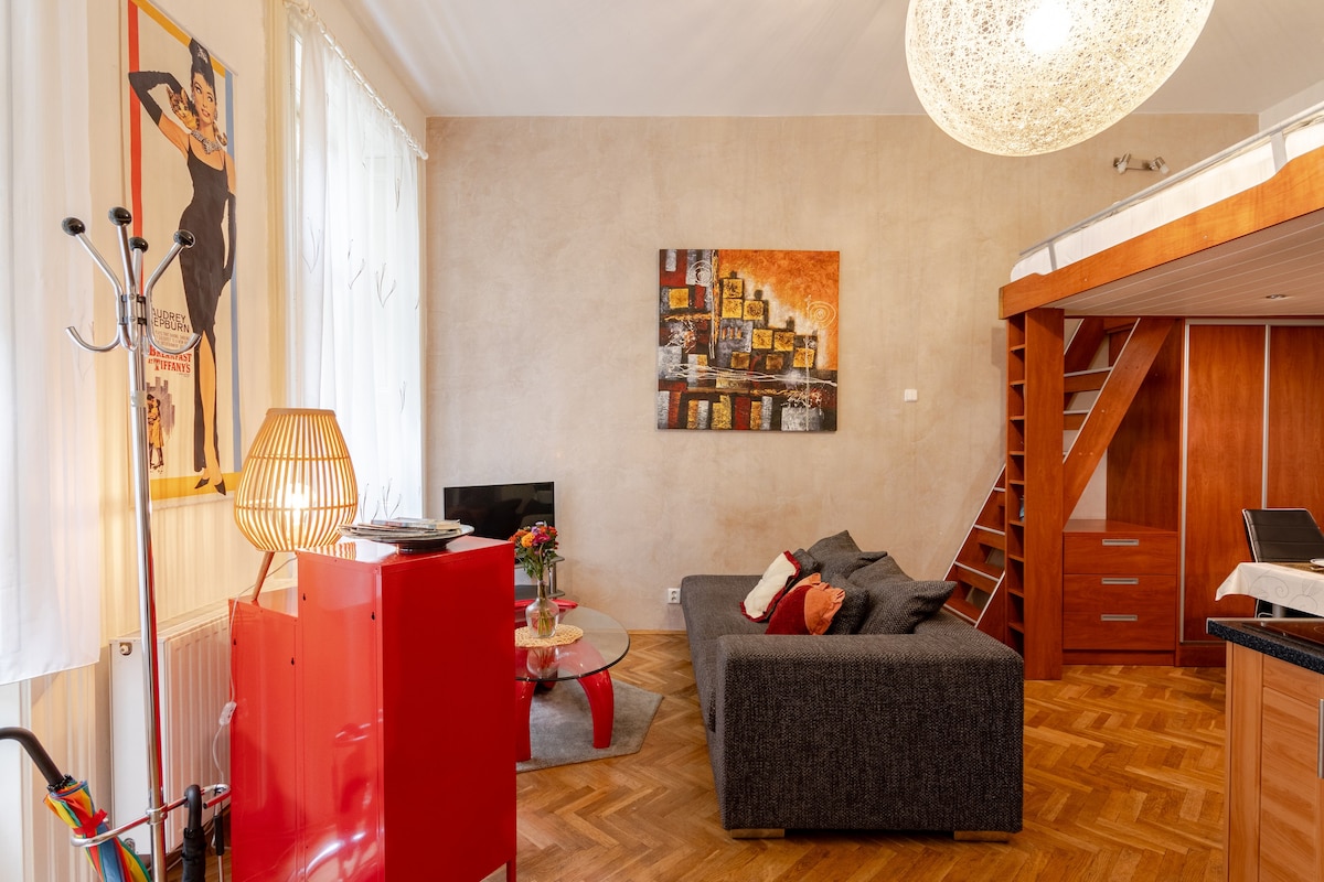 布拉格市中心浪漫单间公寓公寓