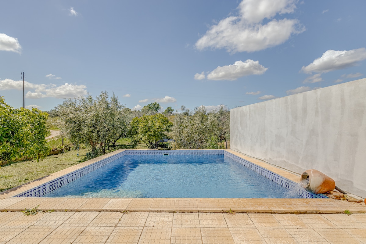 带私人泳池的Alentejo Tank House