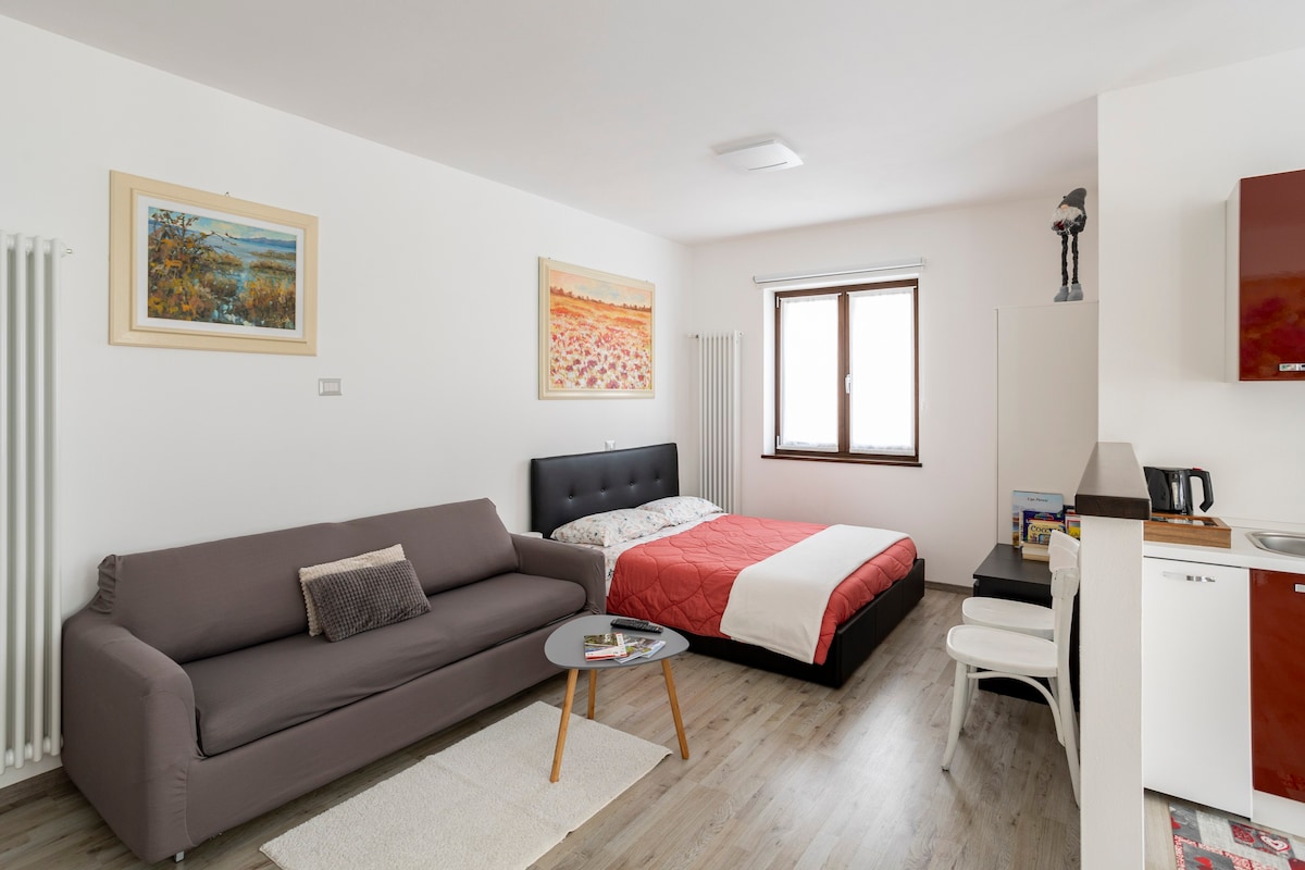 Borgomezzavalle的IRIS房源开放式公寓