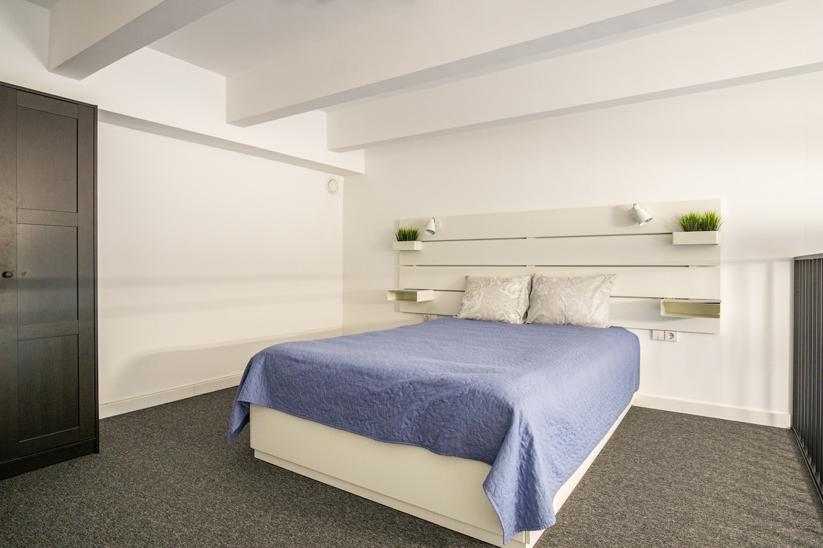 考纳斯市中心新装修的单卧室阁楼