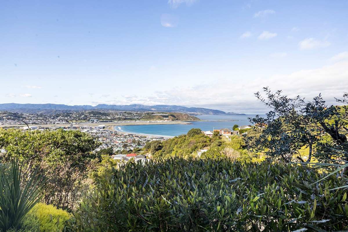 Lyall Bay Vista -地理位置优越，景色迷人