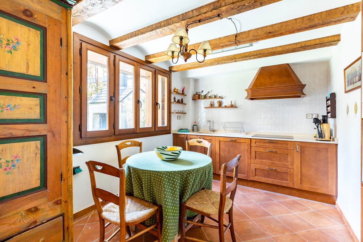 Charming 1865 House in Panticosa