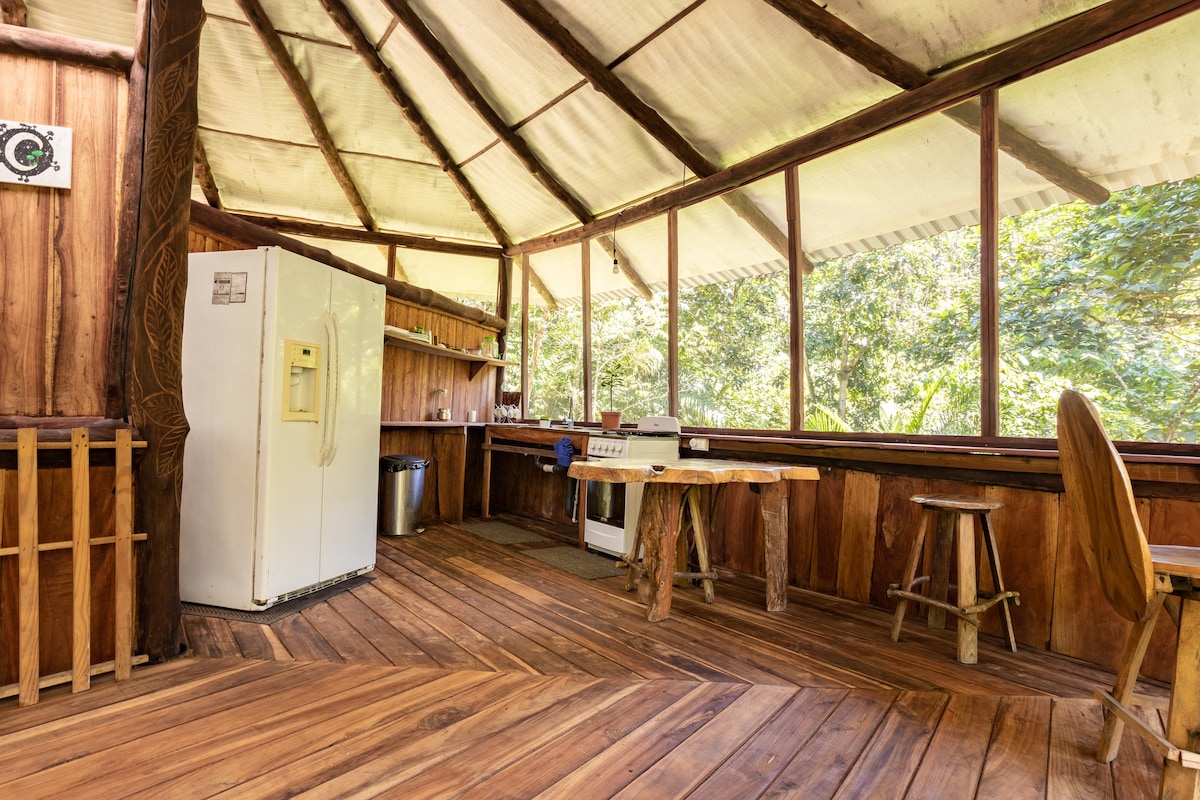 Secluded Treehouse in the Rainforest