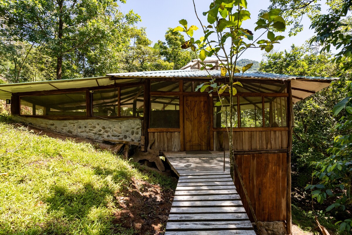 Secluded Treehouse in the Rainforest