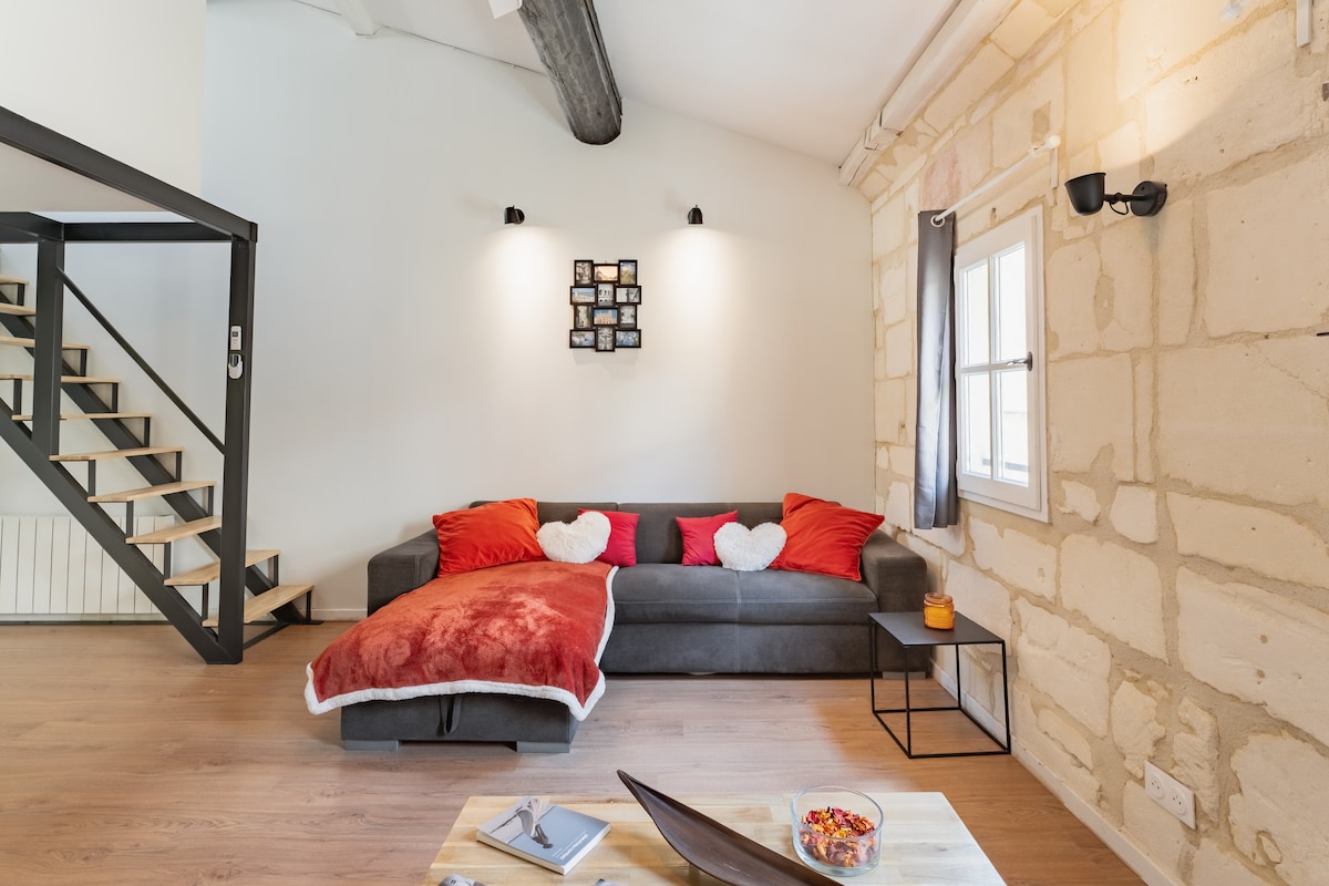 Arles magnifique appart 85m² (plein centre-ville)