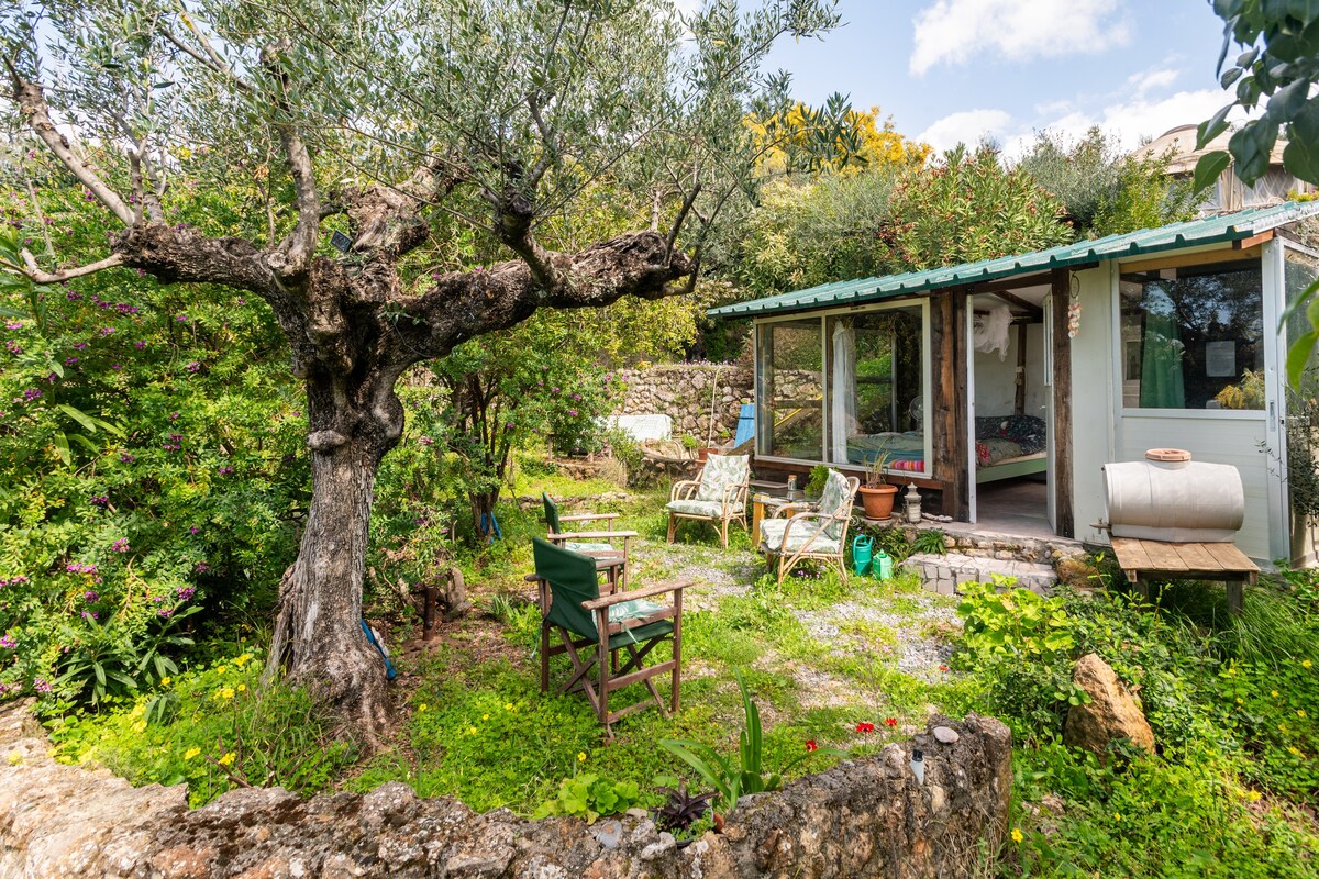 The garden room.