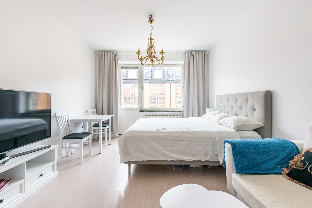 Kungsholmen的舒适单间公寓