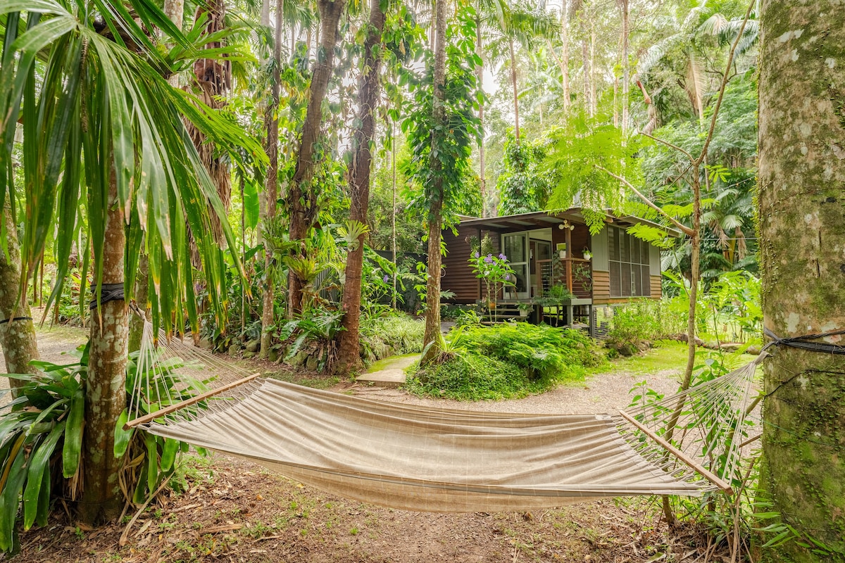 雨林现代生态小屋