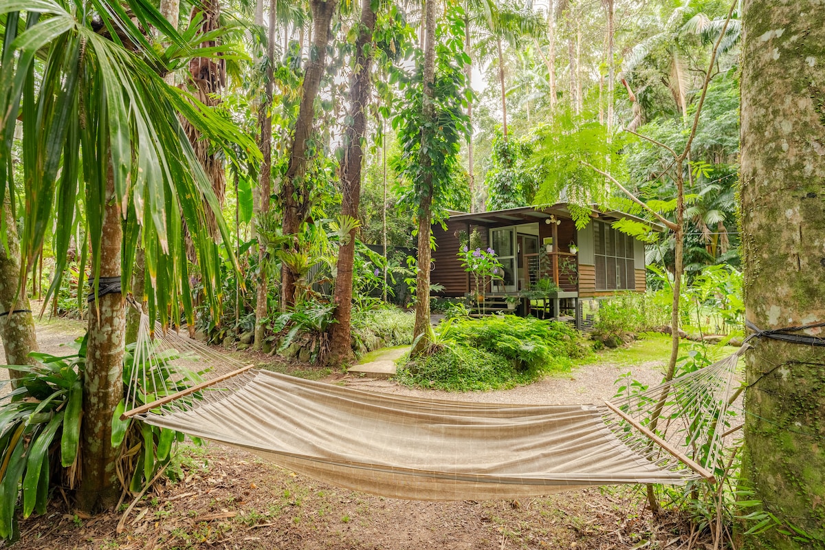 雨林现代生态小屋