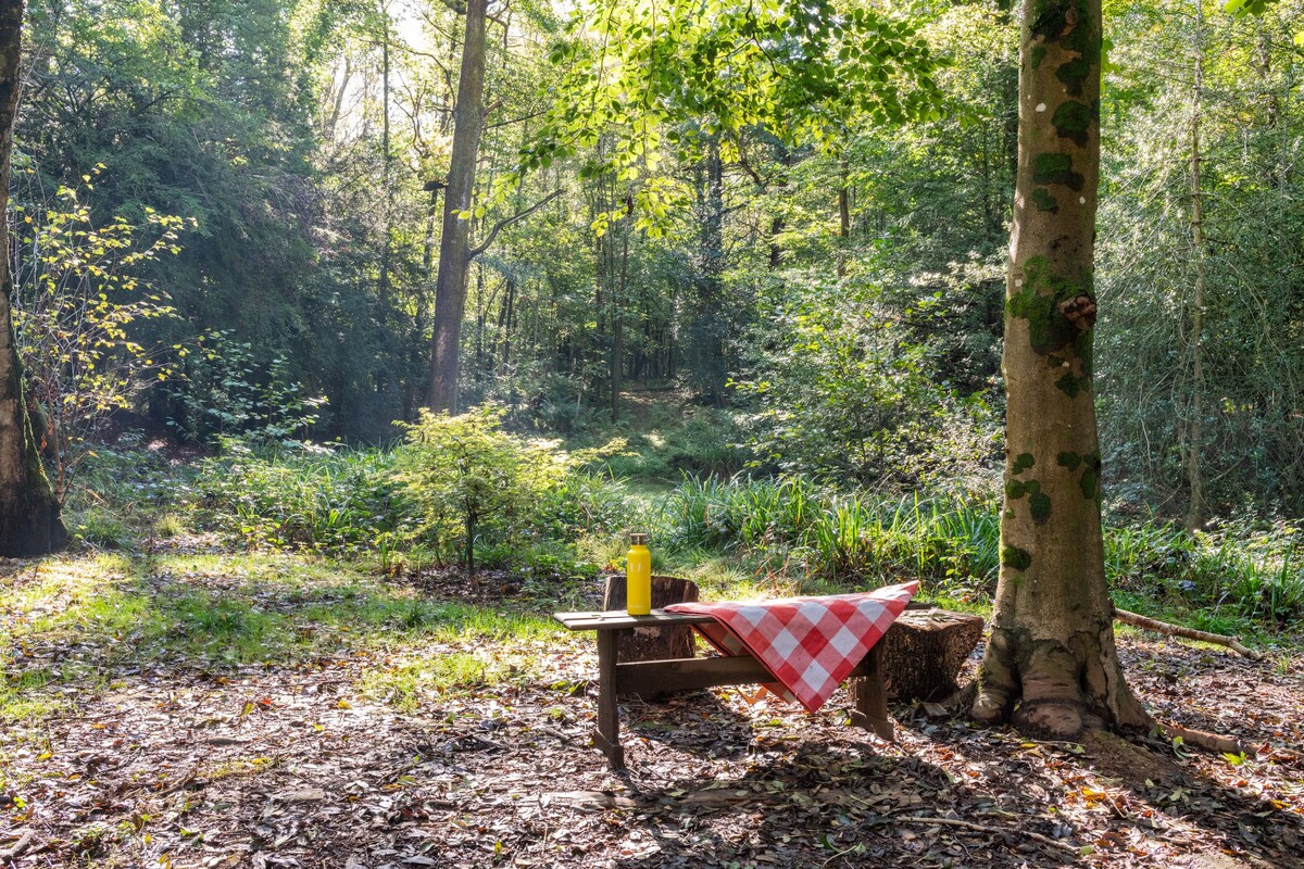 Woodland Bothy