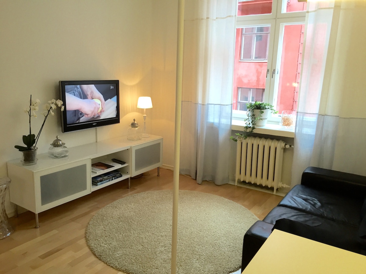 位于赫尔辛基（ Helsink ）市中心的紧凑型公寓-无线网络