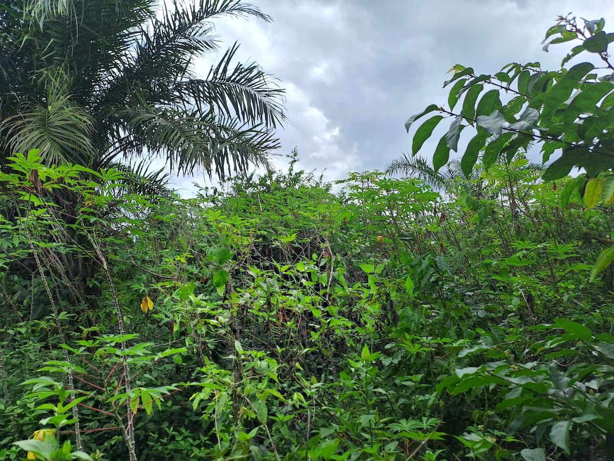 Natural habitat near village.