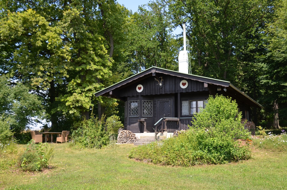 俯瞰高山全景的古朴狩猎小屋