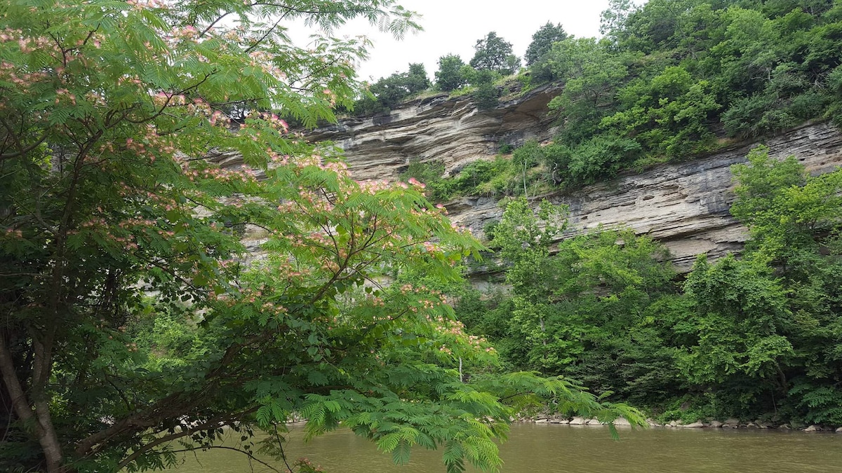 Elkhorn Creek附近没有那么乡村的小屋。