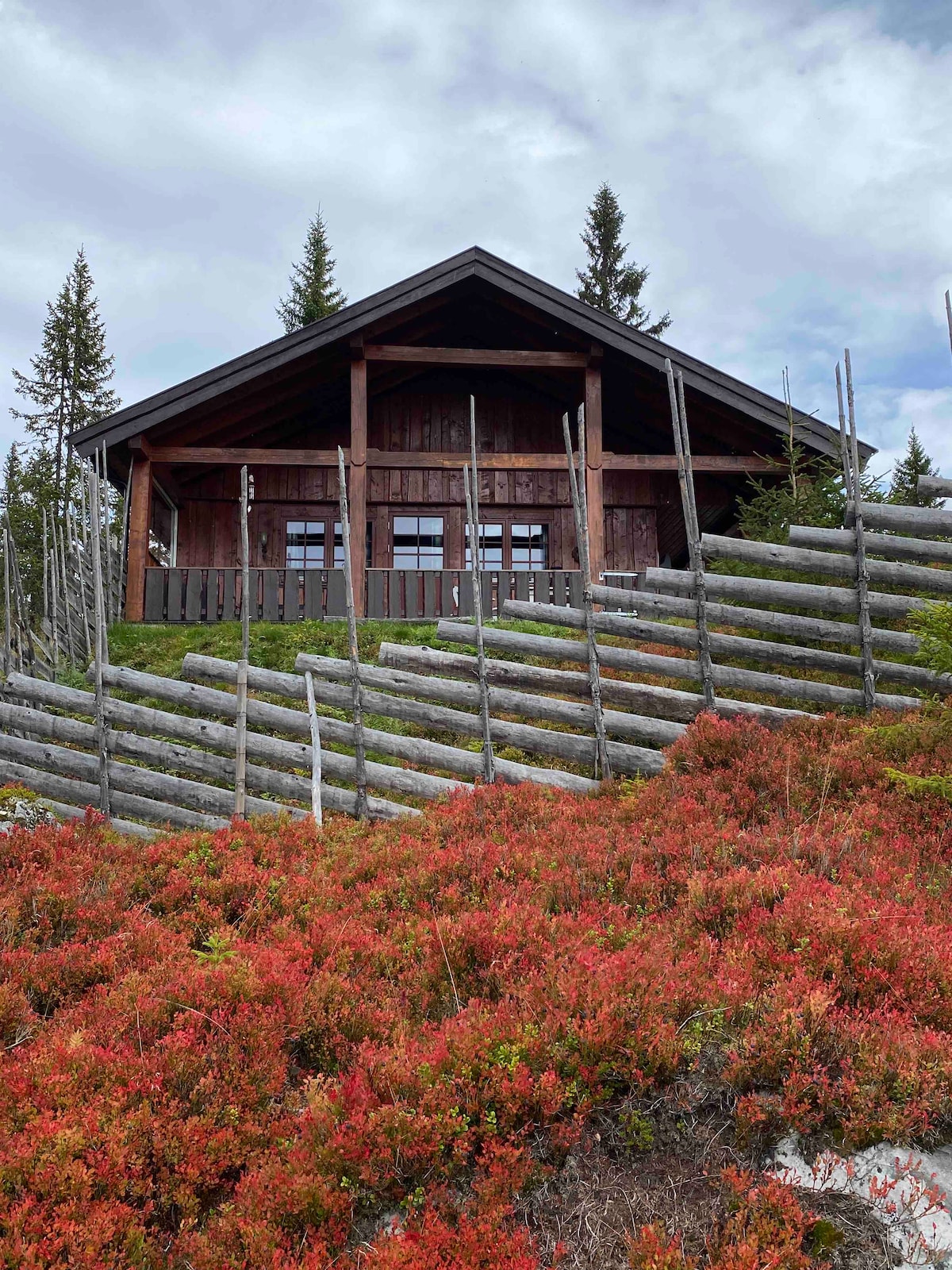 Hytte på Bjønnåsen Ringsaker