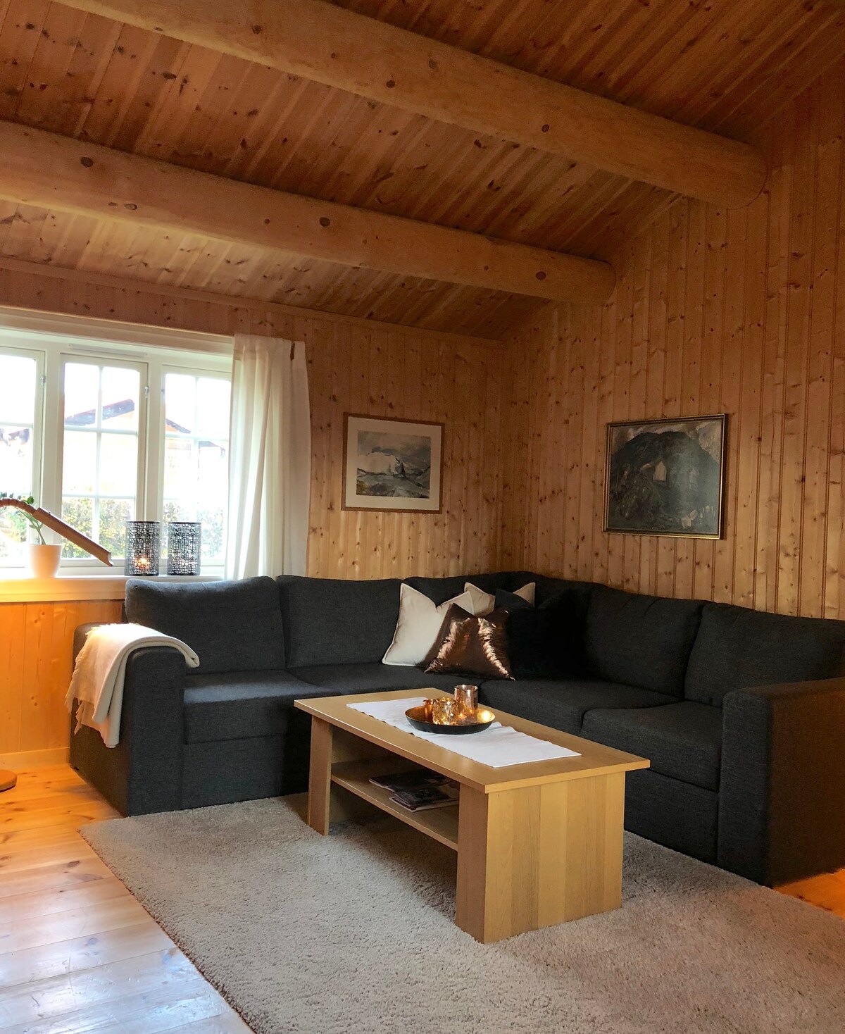 罗罗斯（ Røros ）市中心舒适现代的小屋