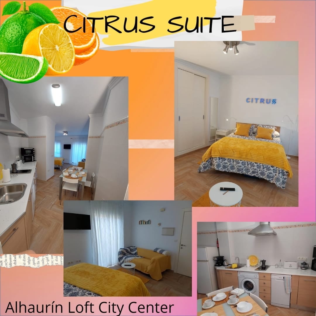 Alhaurín Loft City Center的柑橘套房