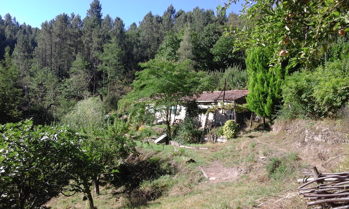 MAS MEUNIER EN CEVENNES