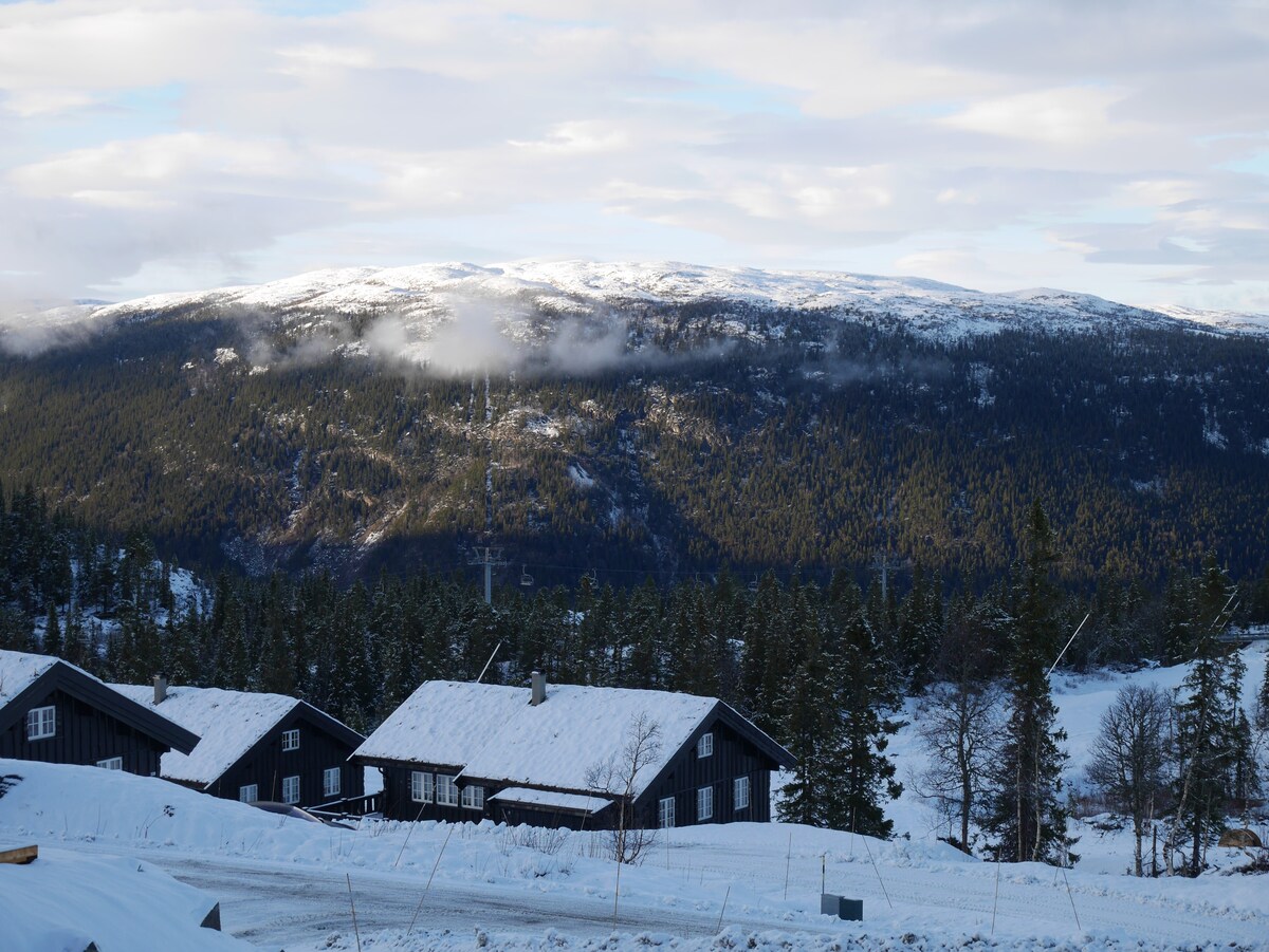 Härlig hytte i Gaustablikk / Gaustatoppen