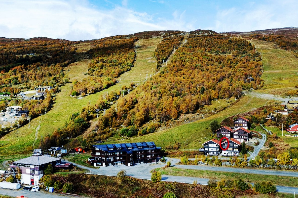 在奥普达尔（ Oppdal ）享受周末，享受滑雪进出的乐趣