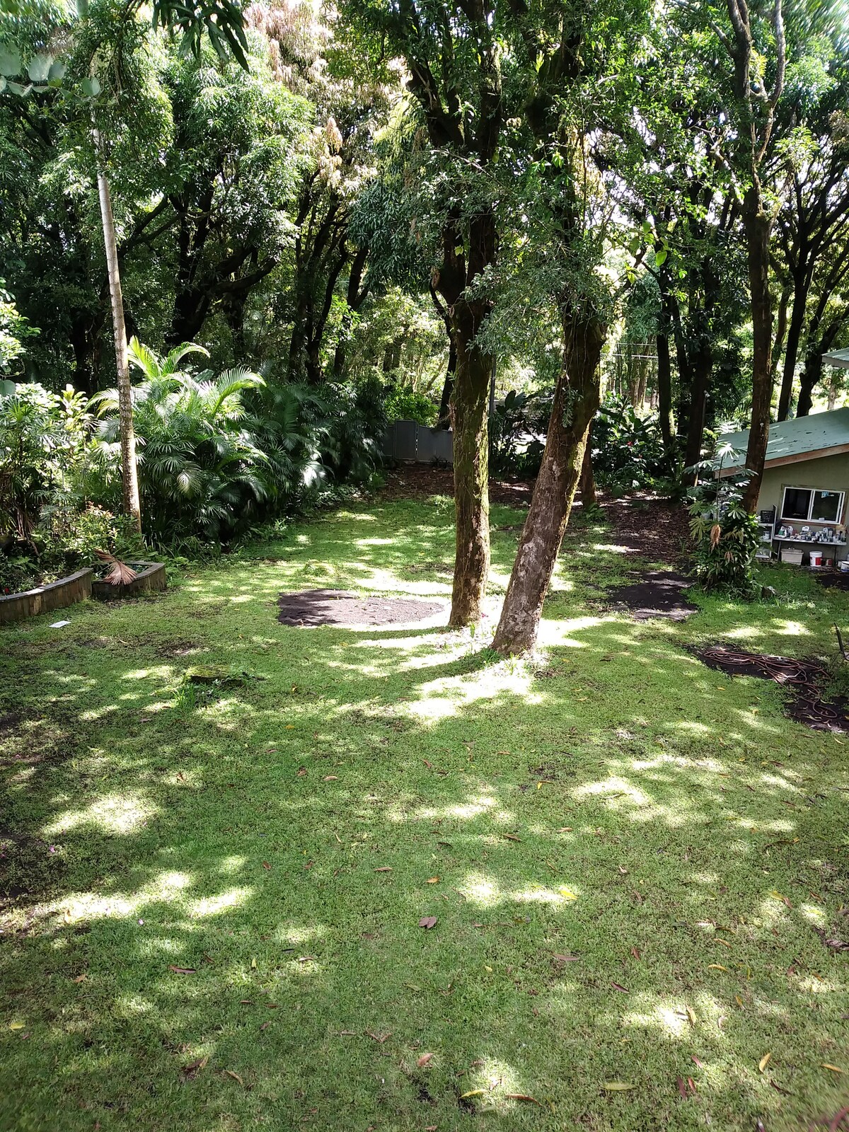 Hawaiian Paradise Park Hideaway-1卧室