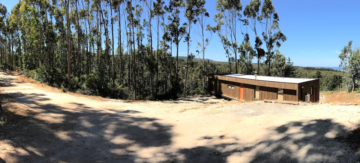 Casa Punta Sirena-Cahuil-Punta de Lobos-Pichilemu