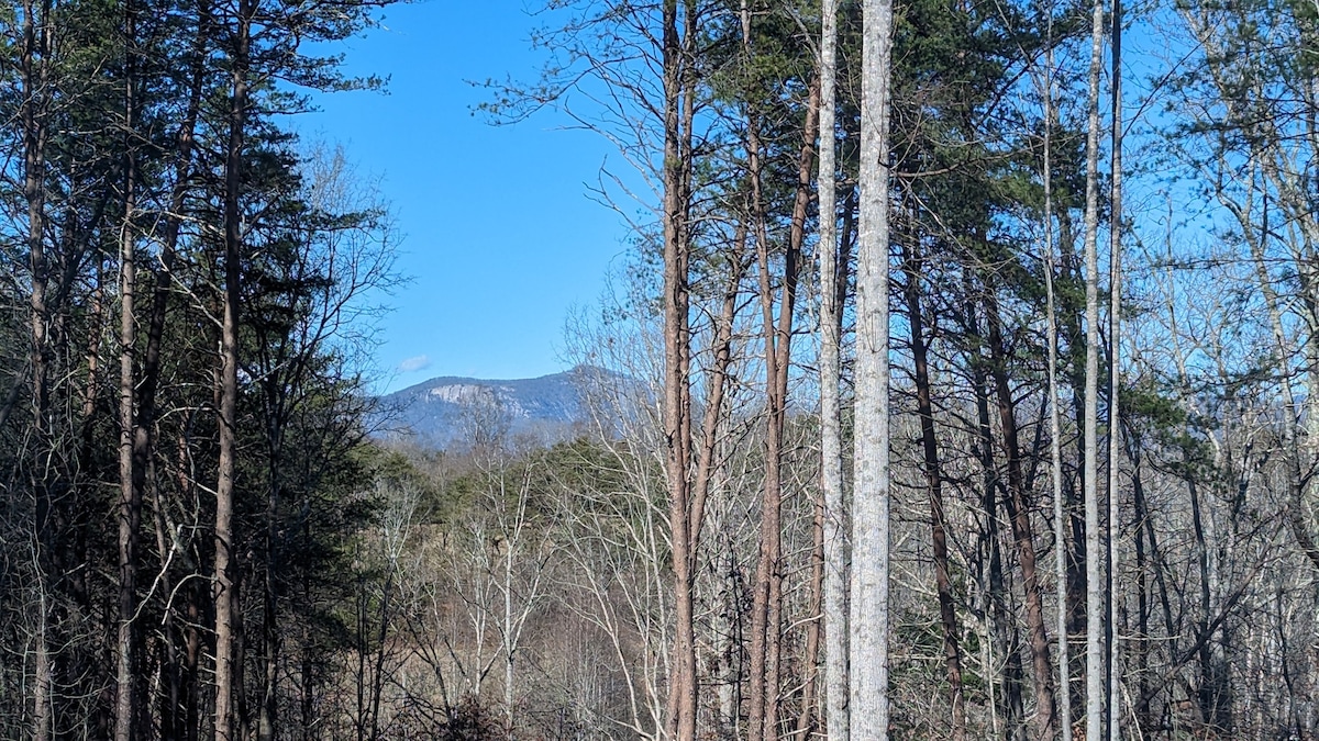 Three Bears Cabin - Luxury with Hot Tub!