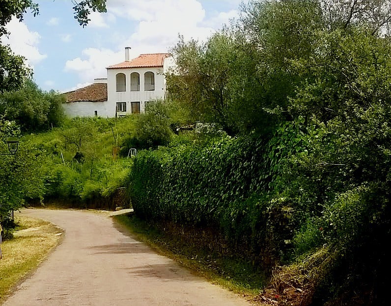 Calle Barranca Cortelazor