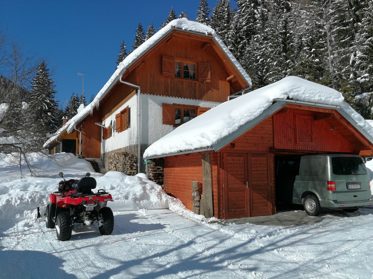 Rogla Dandi Pohorje house 2 apt3