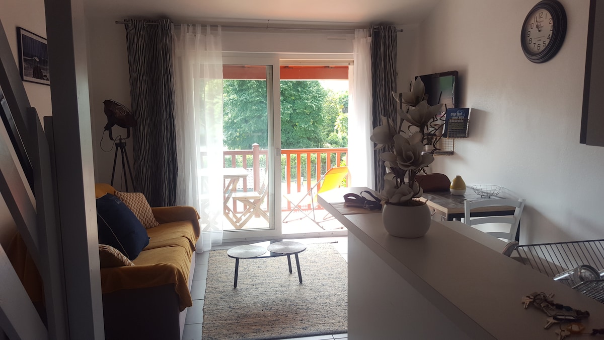 Studio cocooning belle vue montagne - centre ville