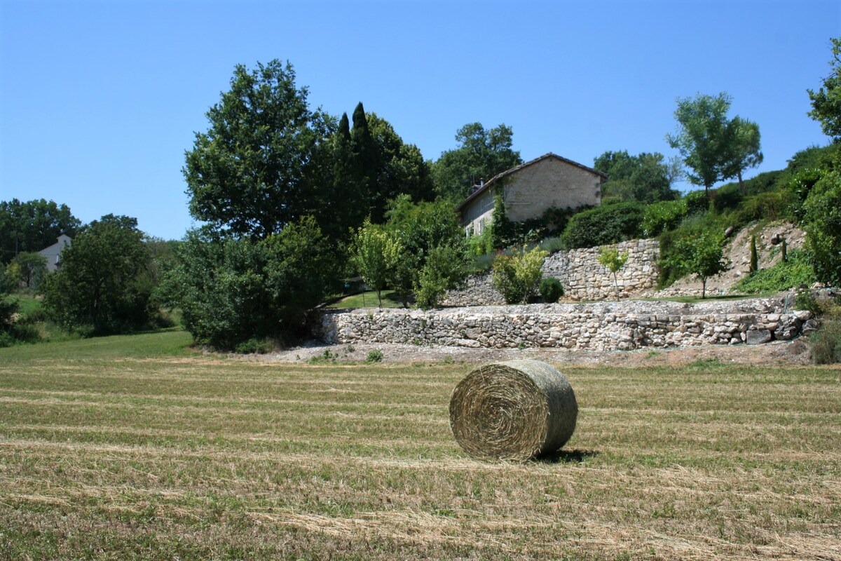 Luxury Villa near Cordes sur Ciel and Albi