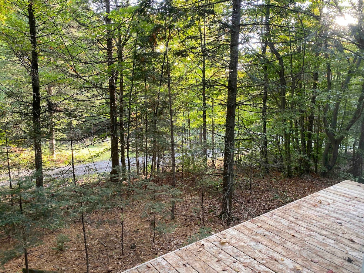 La Libellule, pour la beauté de la nature