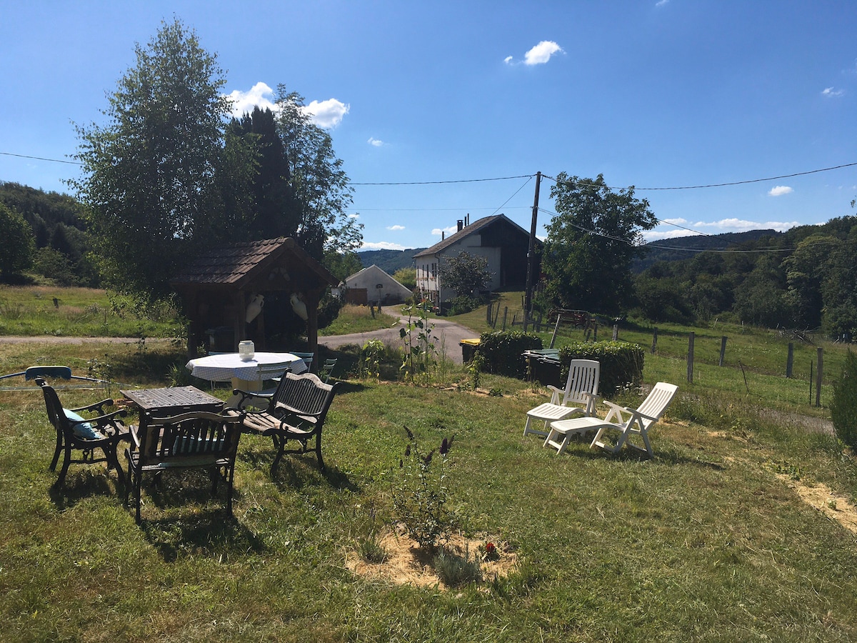 Chaleureux Chalet dans les Vosges